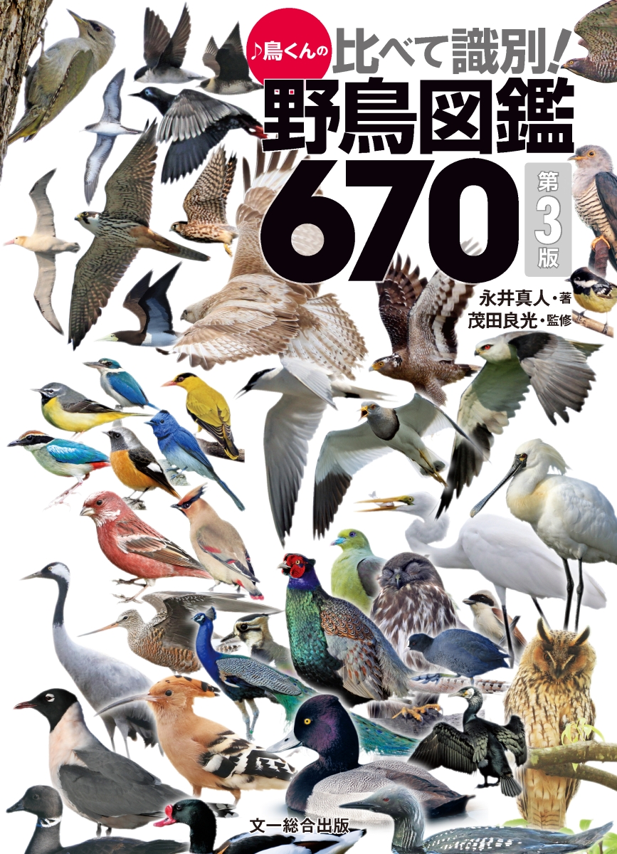 楽天ブックス 鳥くんの比べて識別 野鳥図鑑670 第3版 永井真人 本