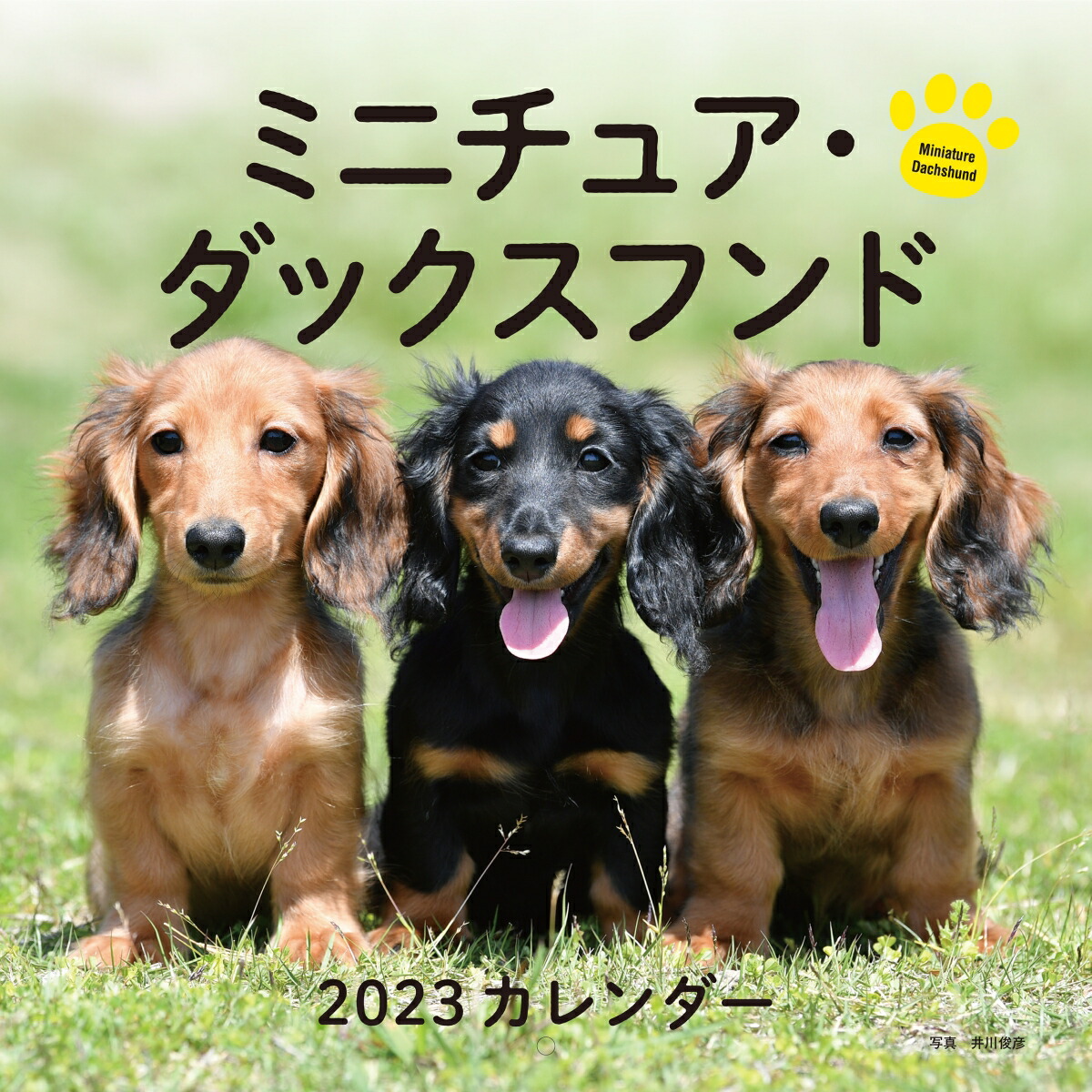 2023ǯߥ˥奢åեɡʸƲҥ[ɧ]