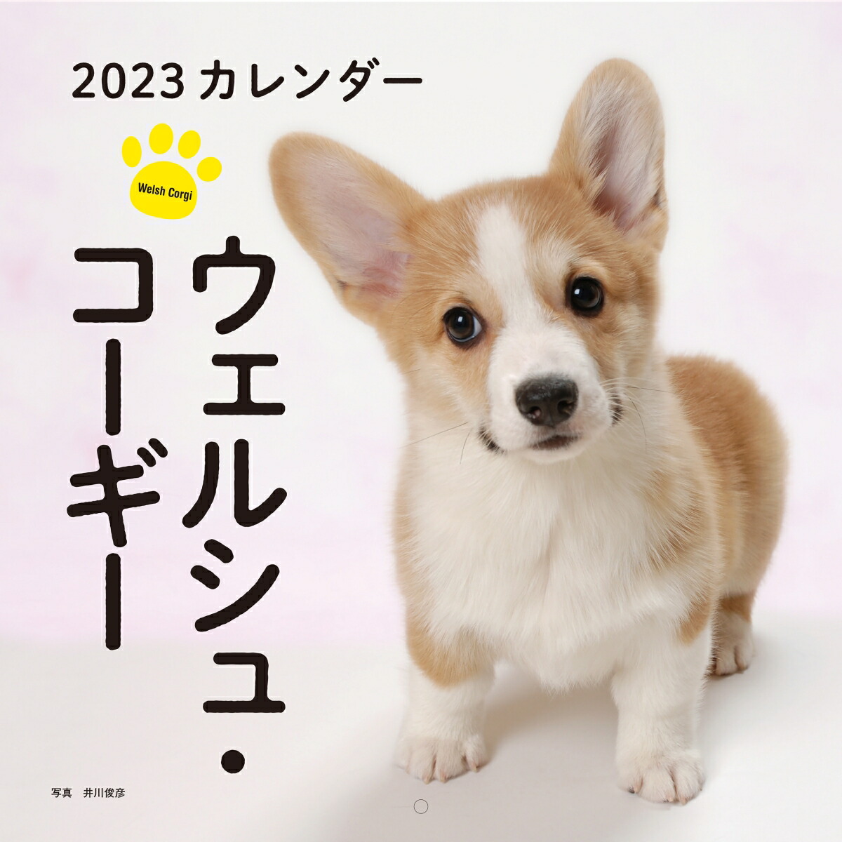 2023ǯ륷塦ʸƲҥ[ɧ]