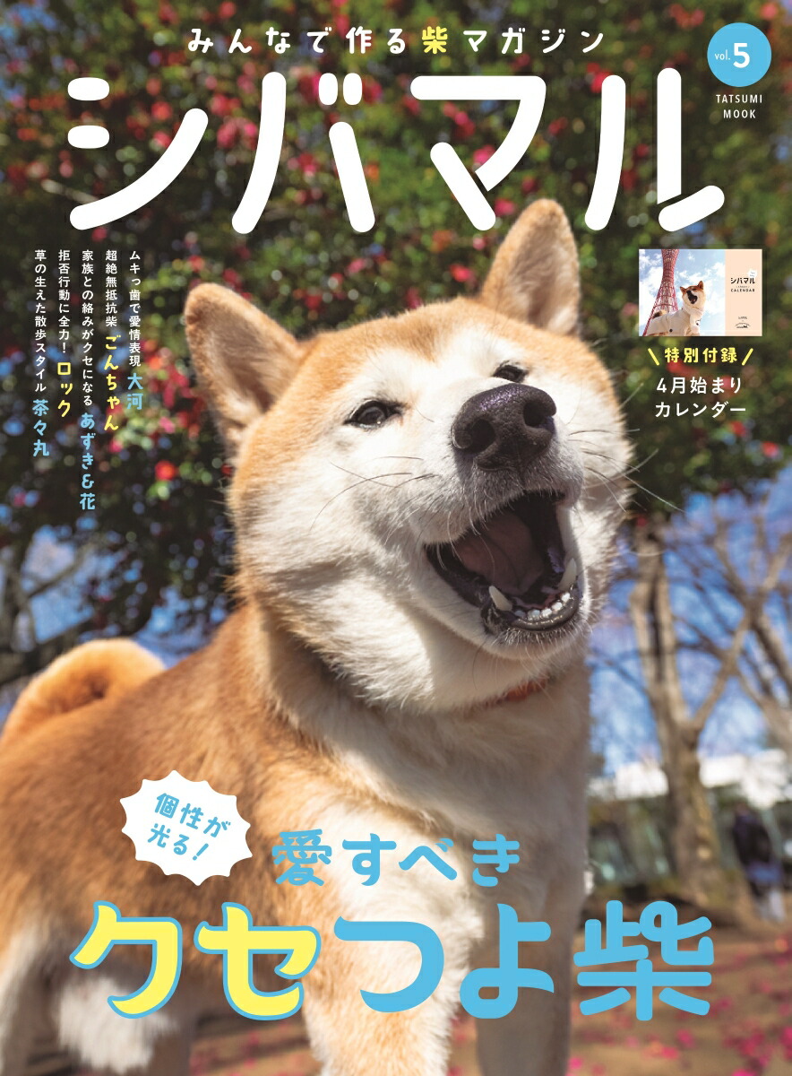 Хޥvol.5ˡʥĥߥå[Shi-BaԽ]