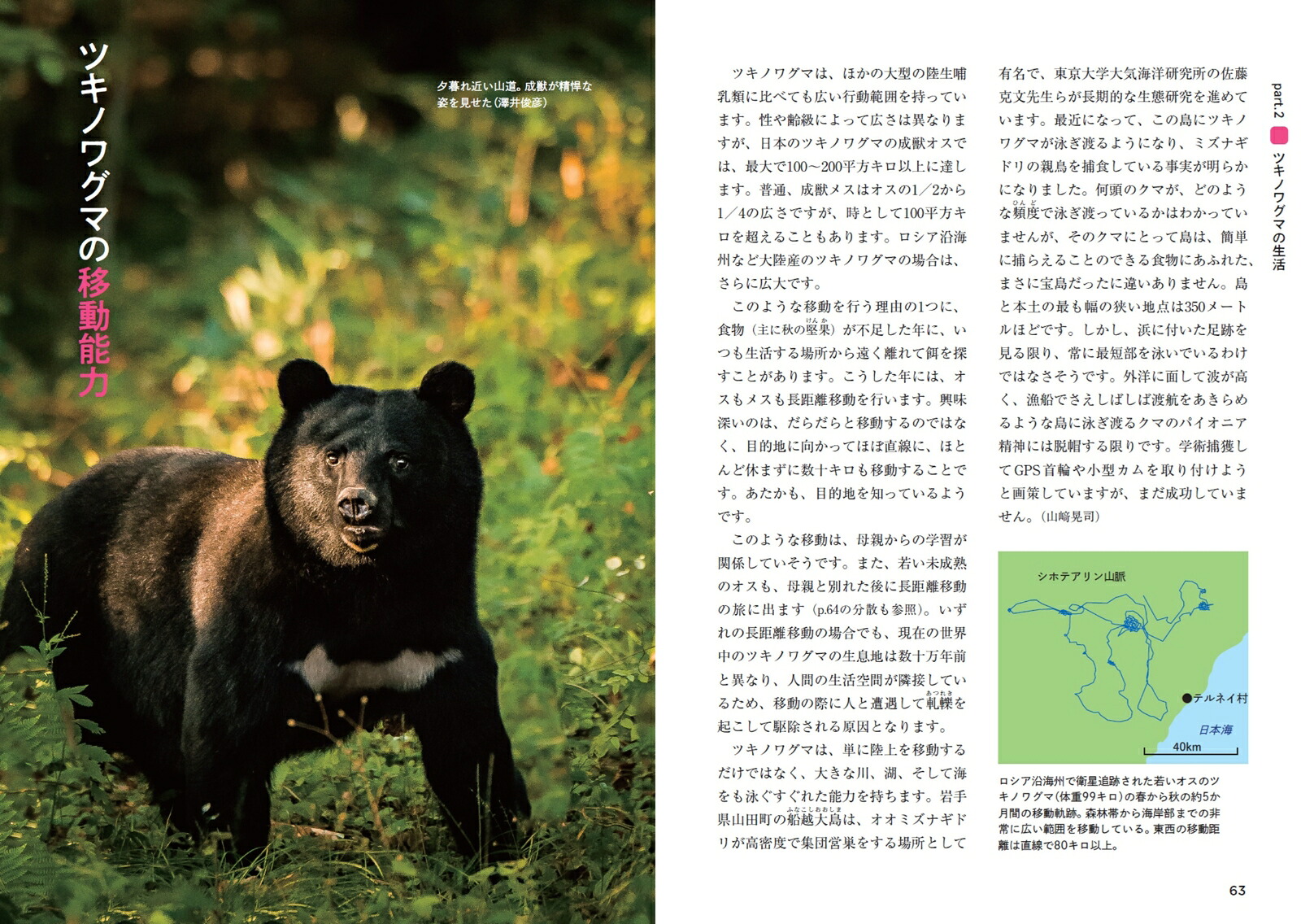 ツキノワグマのすべて森と生きる。[小池伸介]