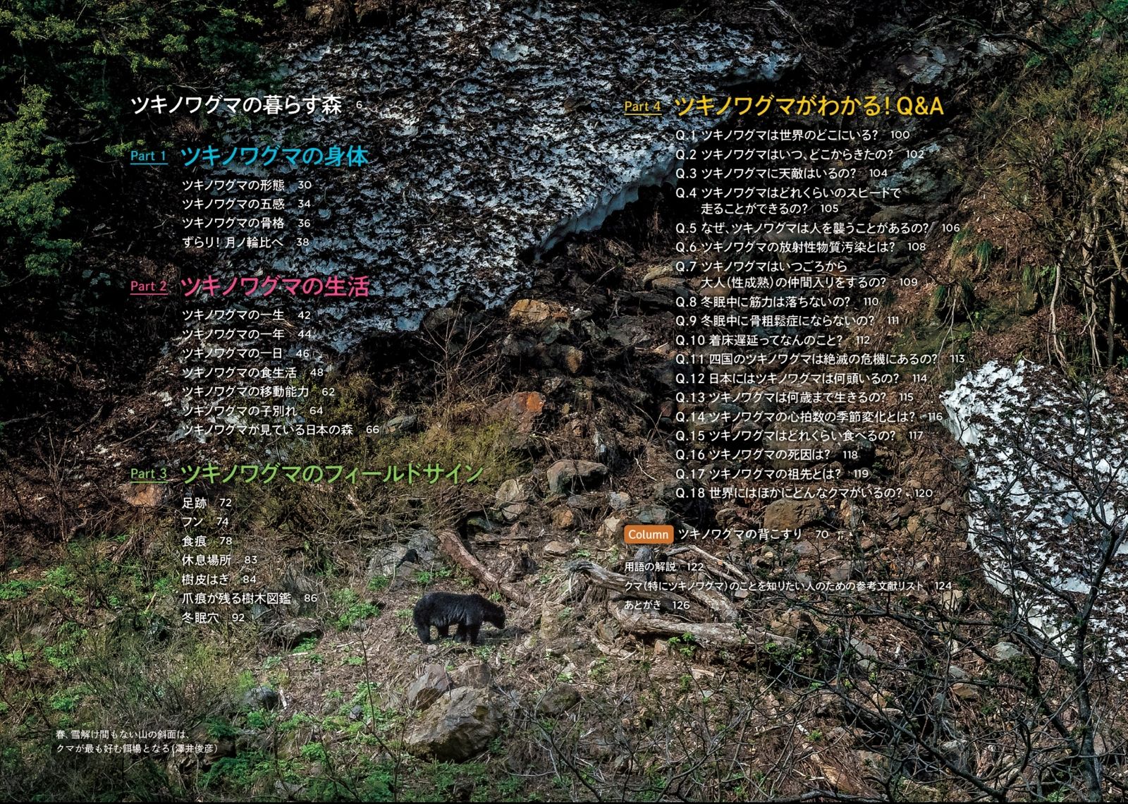 ツキノワグマのすべて森と生きる。[小池伸介]
