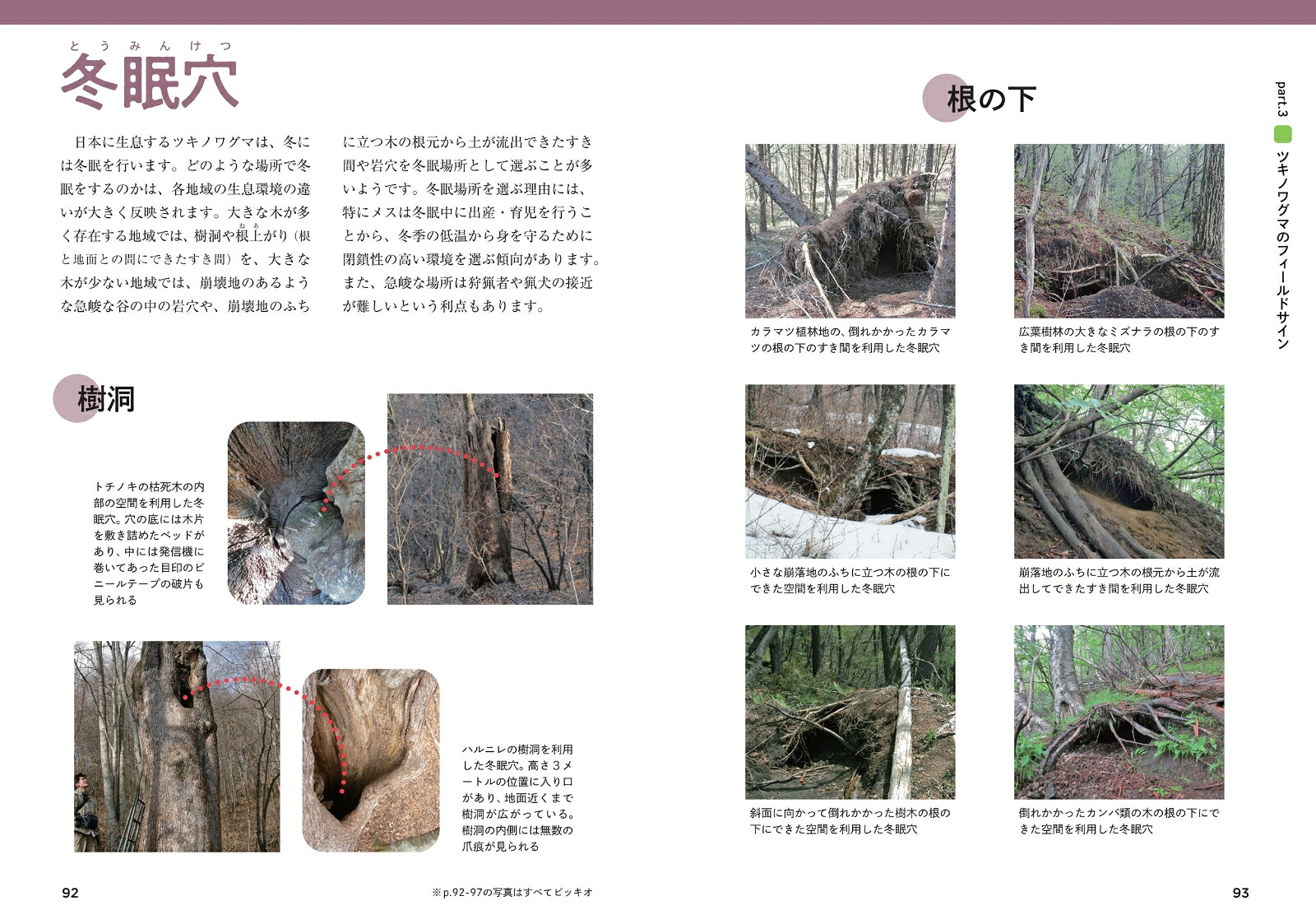 ツキノワグマのすべて森と生きる。[小池伸介]