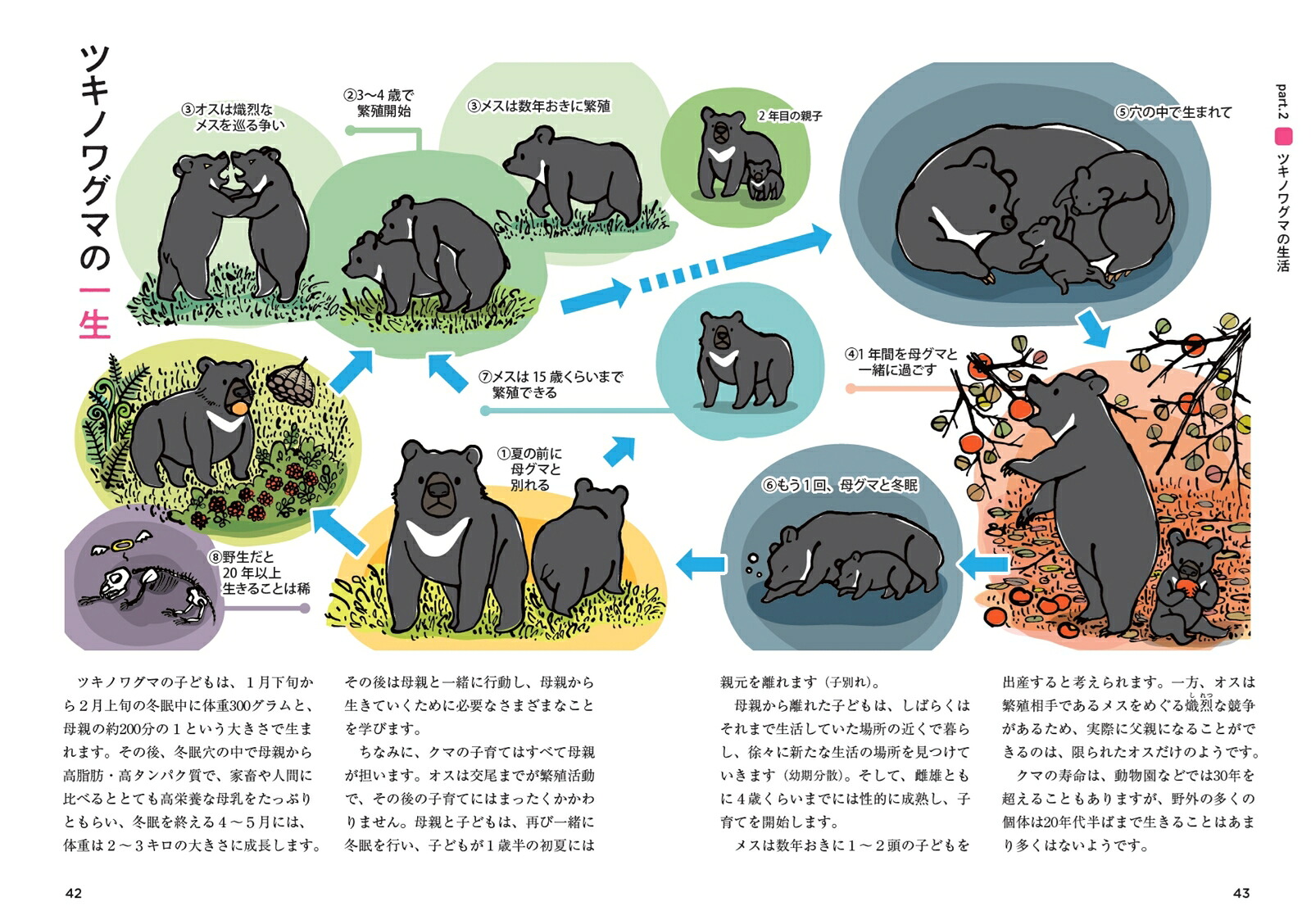 ツキノワグマのすべて森と生きる。[小池伸介]