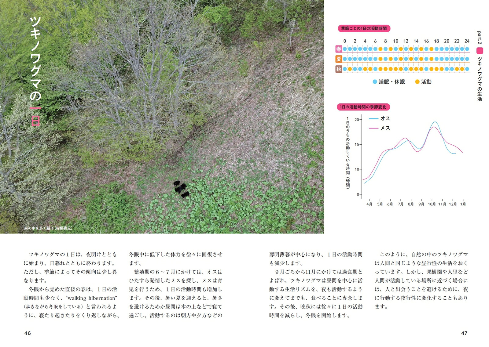 ツキノワグマのすべて森と生きる。[小池伸介]