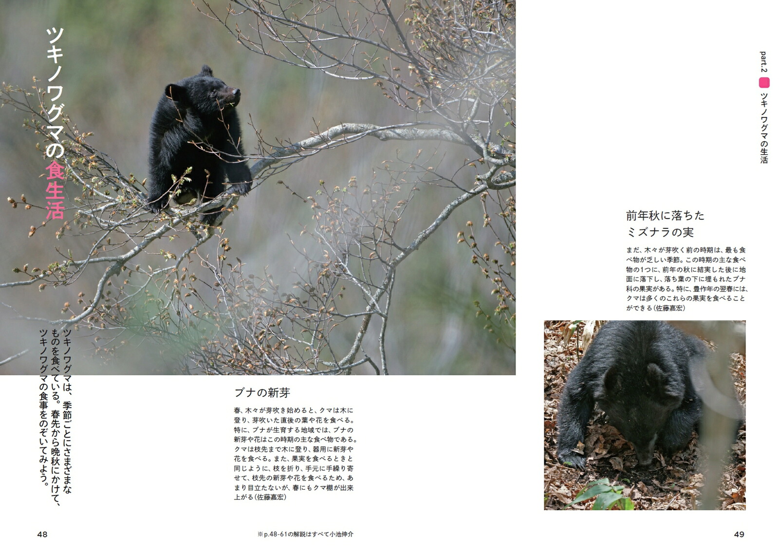 ツキノワグマのすべて森と生きる。[小池伸介]