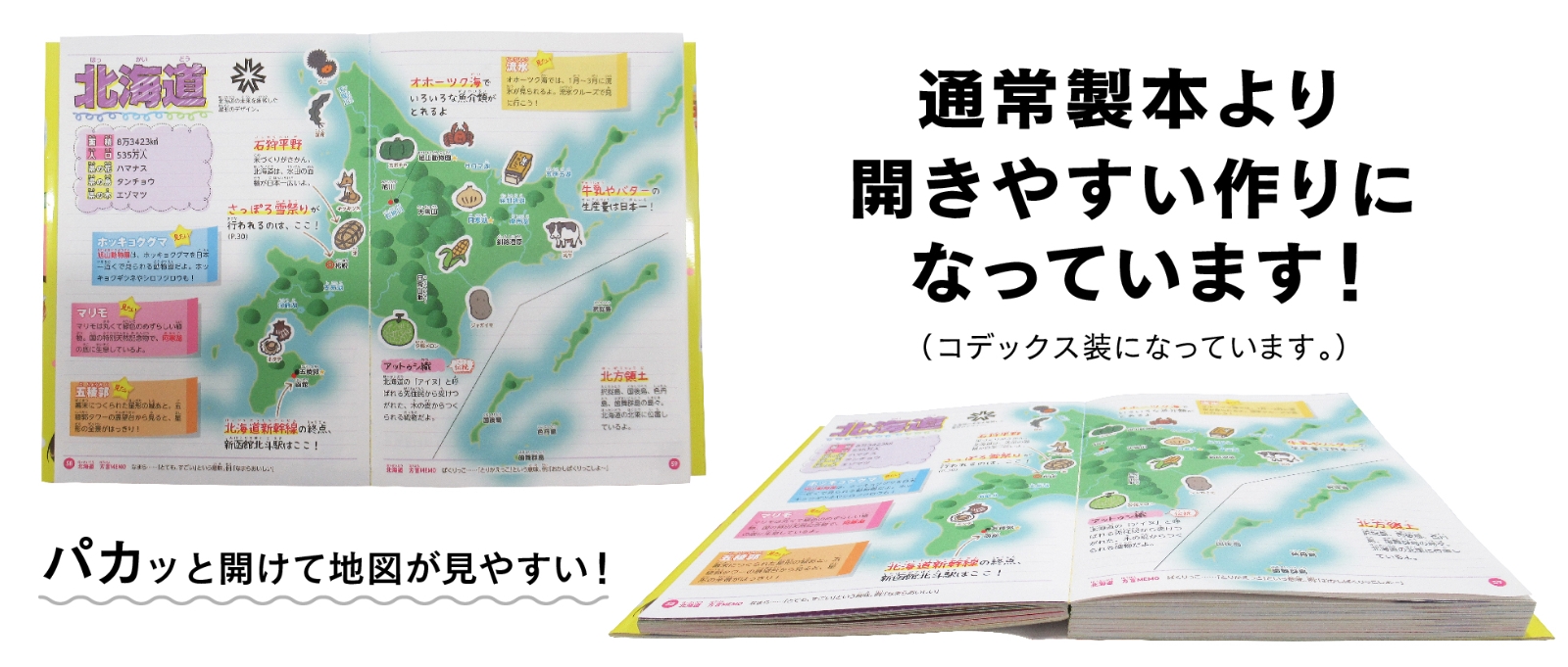 楽天ブックス めちゃカワmax 都道府県イラストbook めちゃカワ 都道府県リサーチ部 本