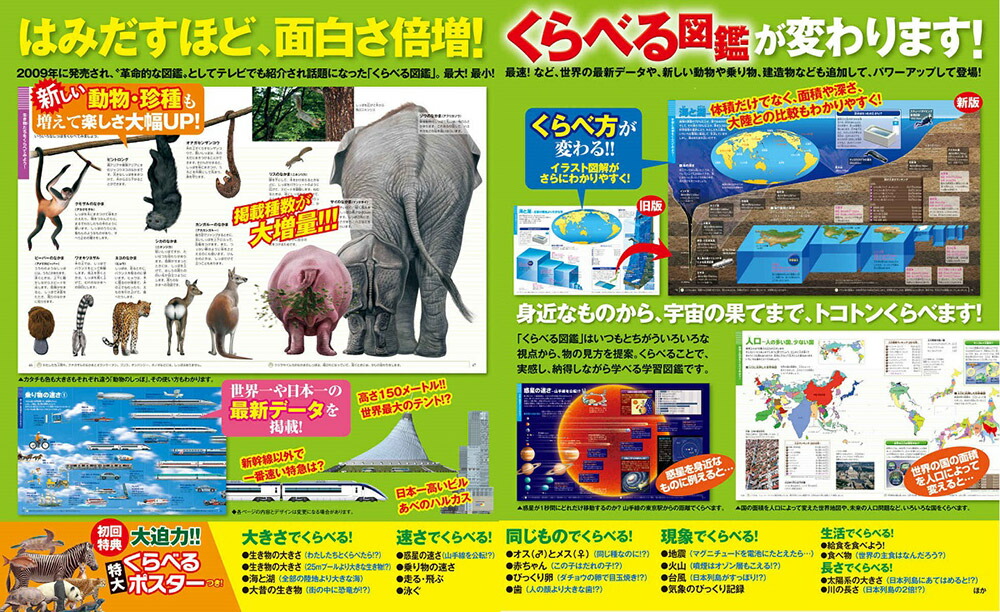 楽天ブックス 新版 くらべる図鑑 加藤 由子 本