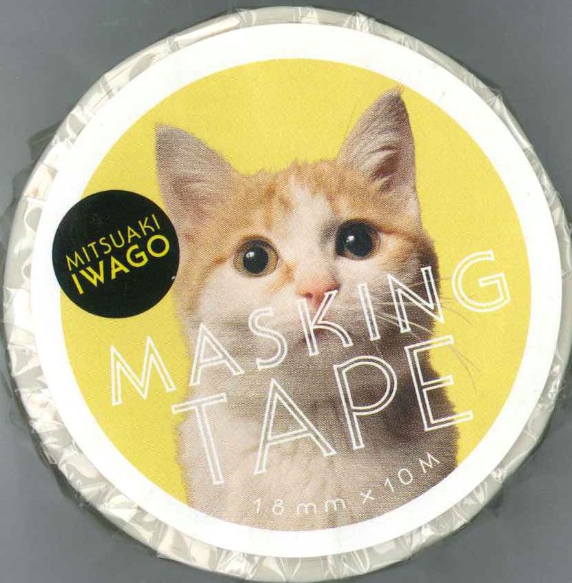 楽天ブックス 岩合光昭 ねこマスキングテープ18mm幅 海ちゃん黄色 岩合光昭 本