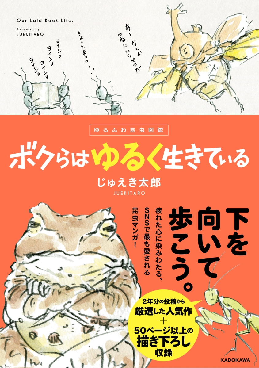 楽天ブックス ゆるふわ昆虫図鑑 ボクらはゆるく生きている じゅえき太郎 本