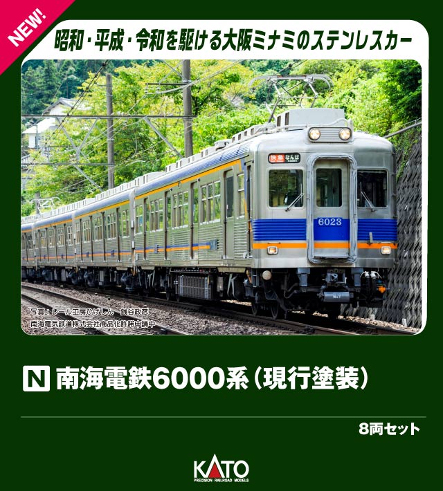 グリーンマックス　 南海10000系「サザン」旧塗装 2セット グリーンマックス 南海10000系「サザン」旧塗装 2セット 南海