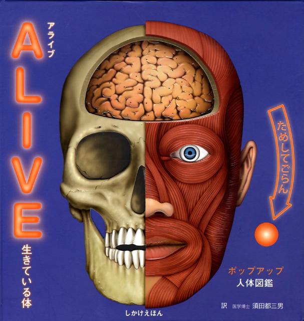 楽天ブックス Alive生きている体 ポップアップ人体図鑑 イアン スミス 本