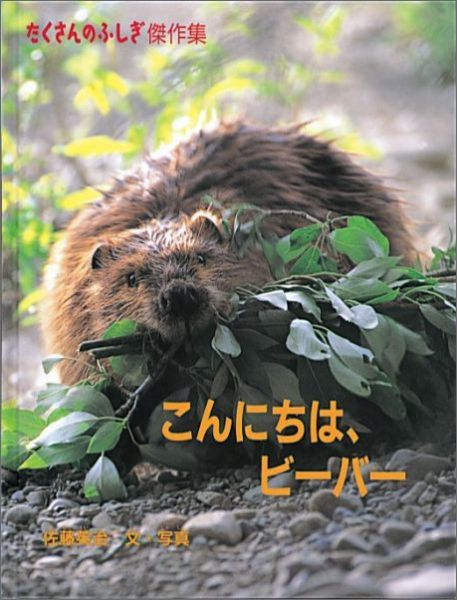 ˤϡӡСʤΤդ[ƣѼ]