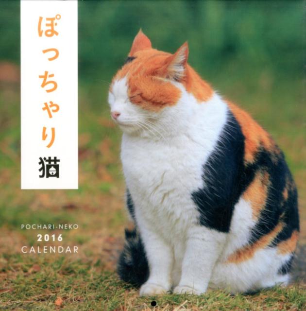 楽天ブックス ぽっちゃり猫カレンダー 16 本