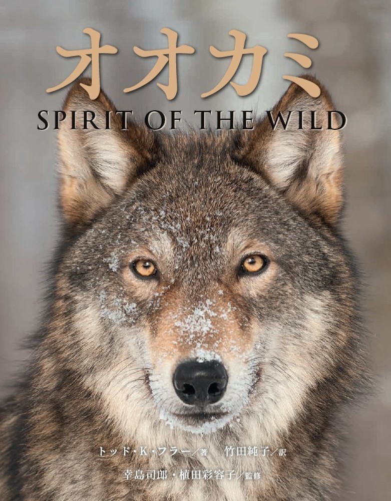 狼 オオカミ WOLF WOLVES ウルフ 財布 マネークリップ - マネークリップ