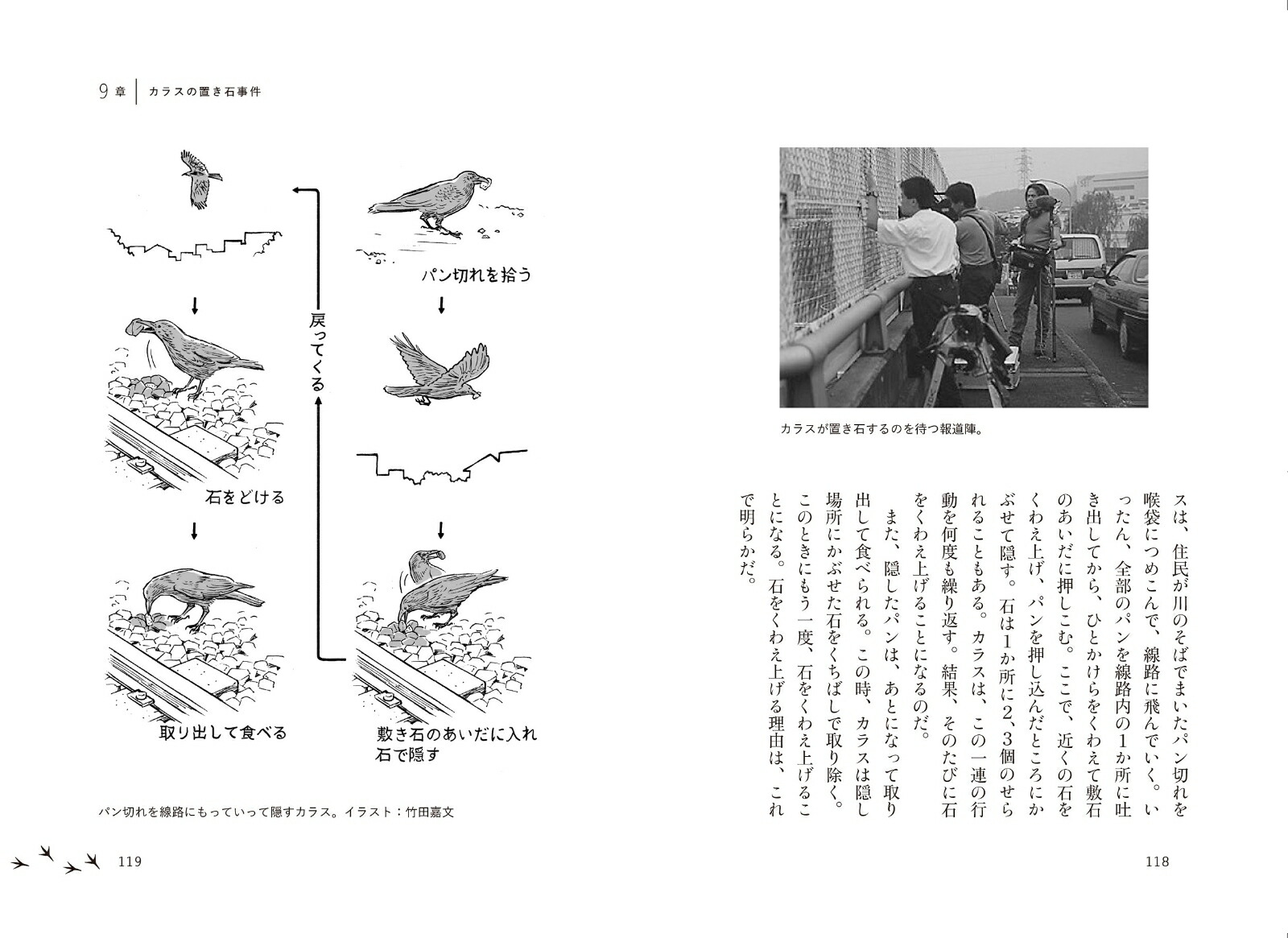 �˥塼���ʥ��饹���ѻ�ʳƮ��[������˧]