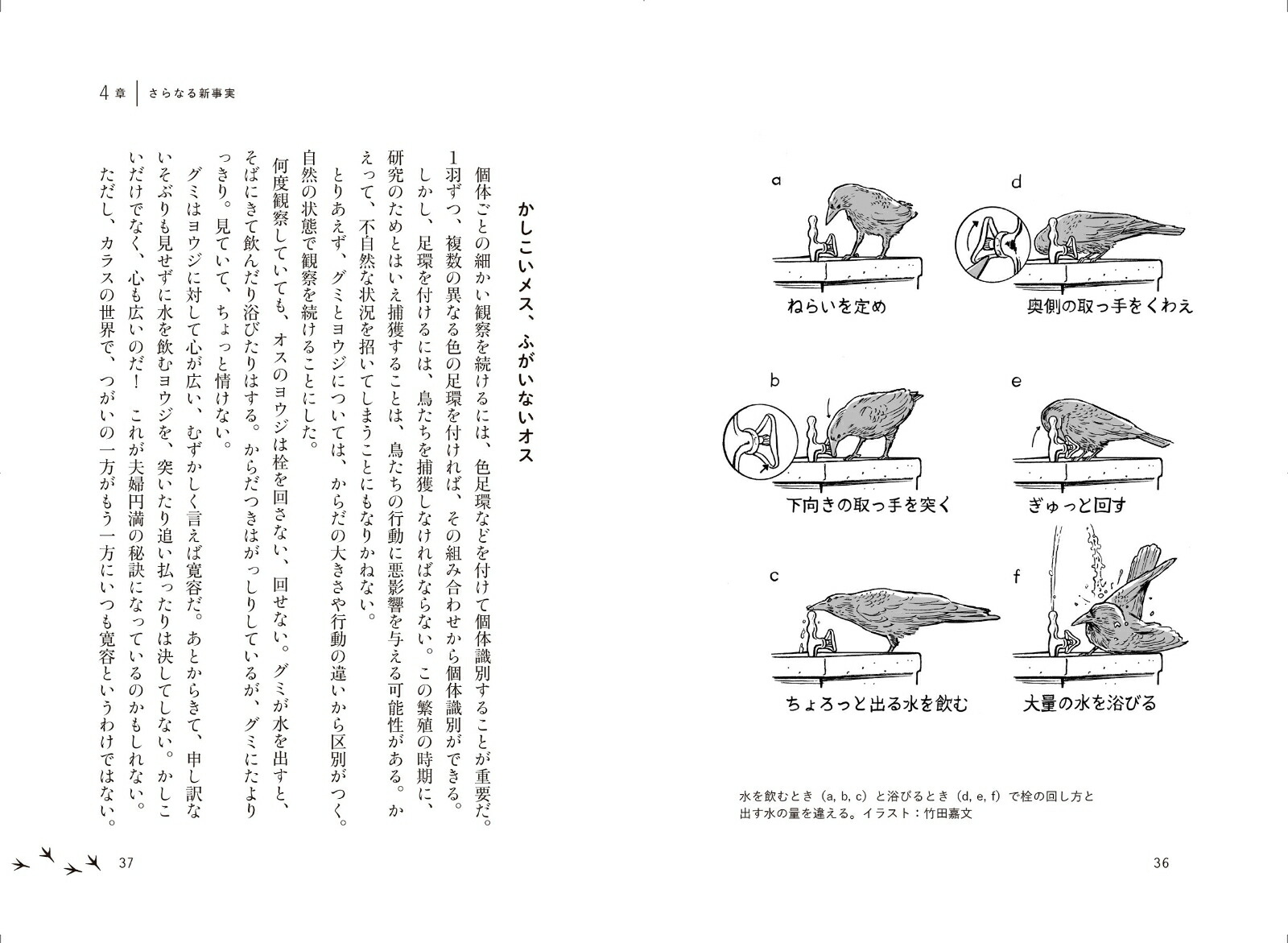 �˥塼���ʥ��饹���ѻ�ʳƮ��[������˧]