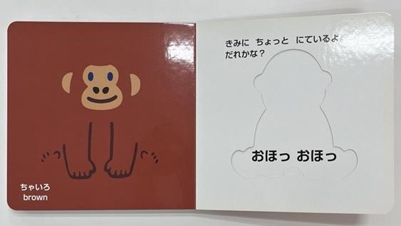 どうぶついろいろかくれんぼ（これなあに？かたぬきえほん1）[いしかわこうじ]