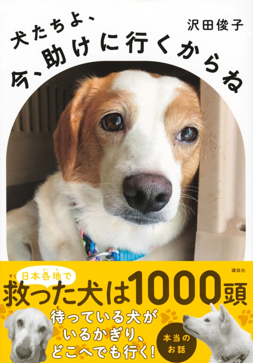 楽天ブックス 犬たちよ 今 助けに行くからね 沢田 俊子 本