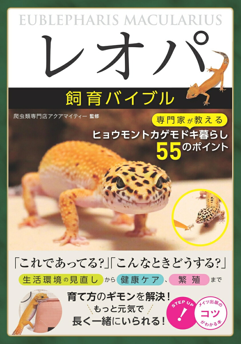 楽天ブックス レオパ 飼育バイブル 専門家が教えるヒョウモントカゲモドキ暮らし 55のポイント アクアマイティー 本