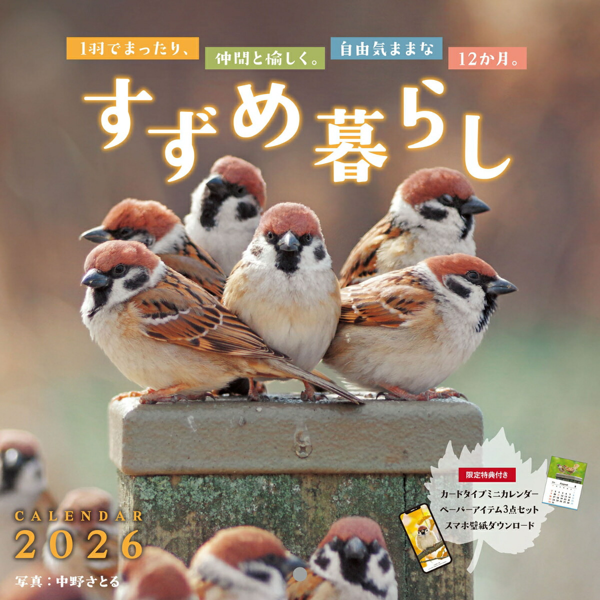 すずめ暮らし画像