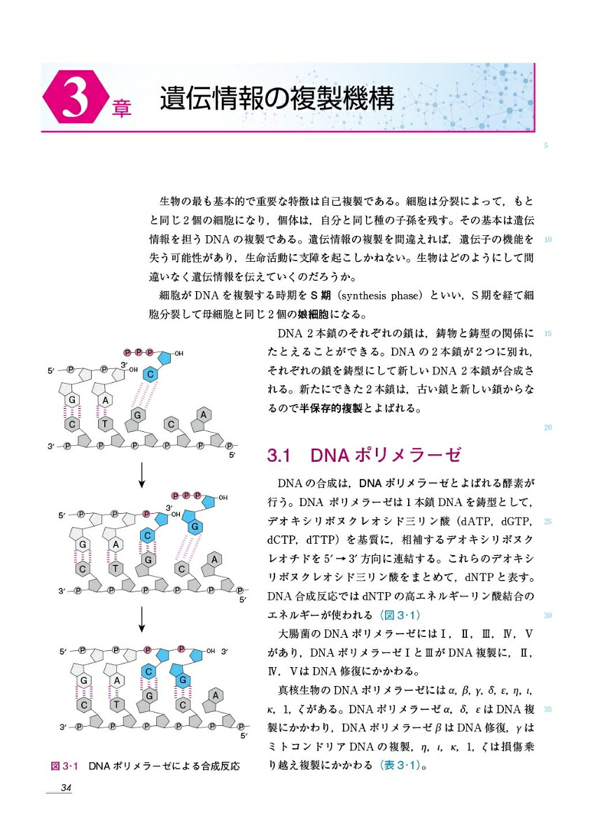 楽天ブックス 楽天市場