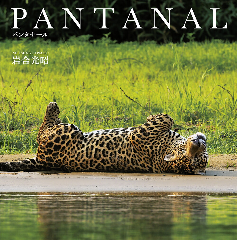 楽天ブックス Pantanal パンタナール 岩合光昭 本