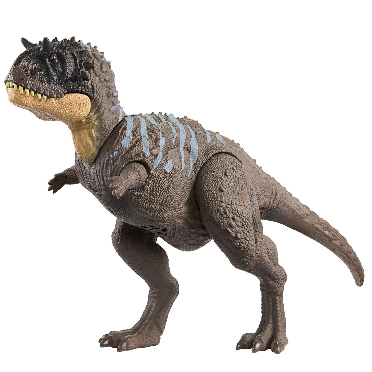 ޥƥ른饷å(JURASSICWORLD)ե奢ۤ롪ꥯʥȥ륹ڶεۡĹ:33cmۡ4~HTK70