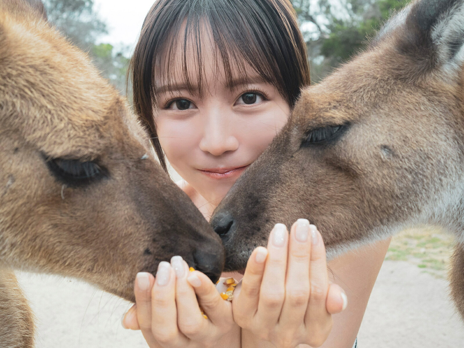 新田さちか写真集SACHI-祥-[新田さちか]