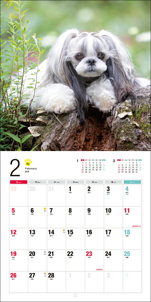 2023ǯ����������������������ʸƲ�����ҥ���������[��¼�ۻ�]