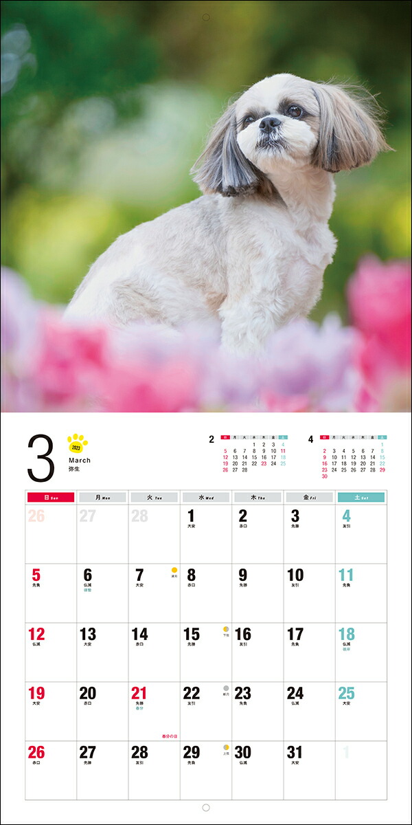 2023ǯ����������������������ʸƲ�����ҥ���������[��¼�ۻ�]