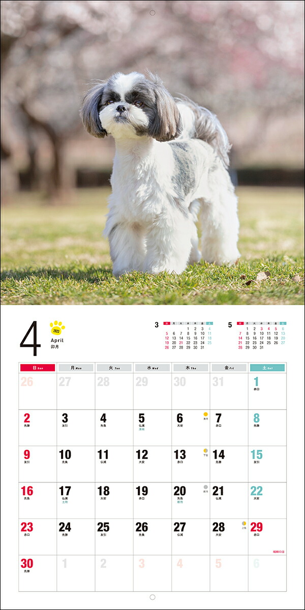 2023ǯ����������������������ʸƲ�����ҥ���������[��¼�ۻ�]