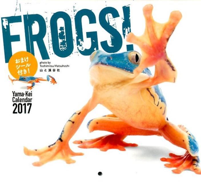新製品情報も満載 楽天ブックス: 【壁掛】FROGS！カレンダー（2017 カレンダー