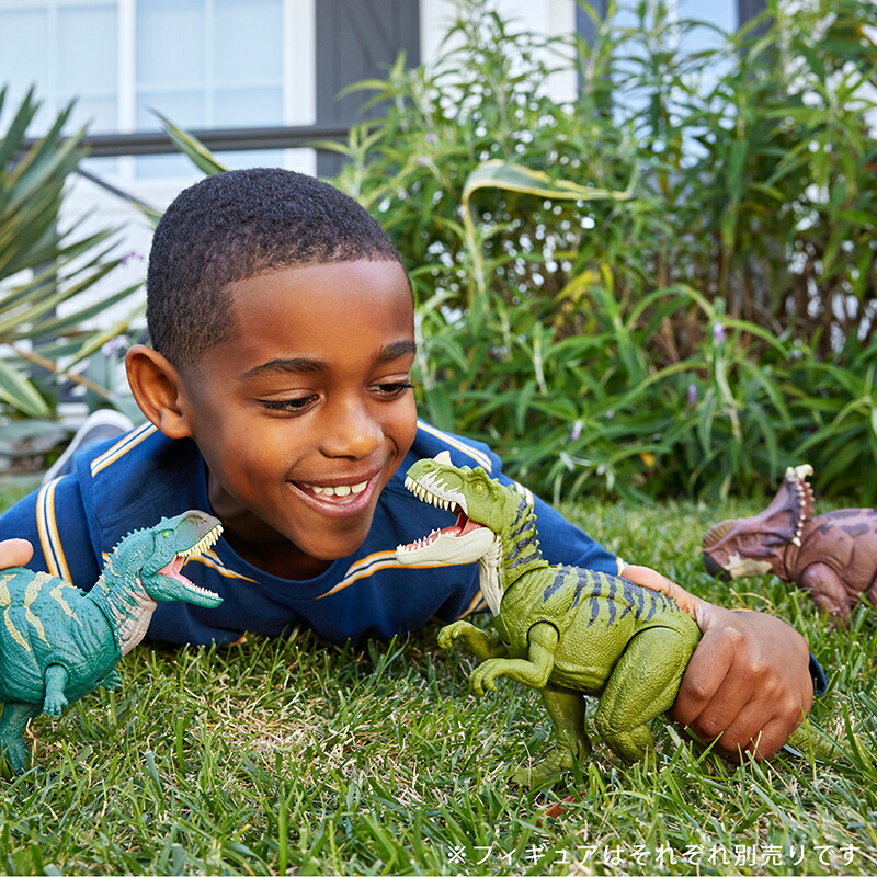 �ޥƥ른��饷�å�����(JURASSICWORLD)���������ե����奢�ۤ��롪����ȥ����륹�Ҷ������ե����奢��ε���������Ĺ:��32.7cm4�Ф��饰�꡼��HTK74