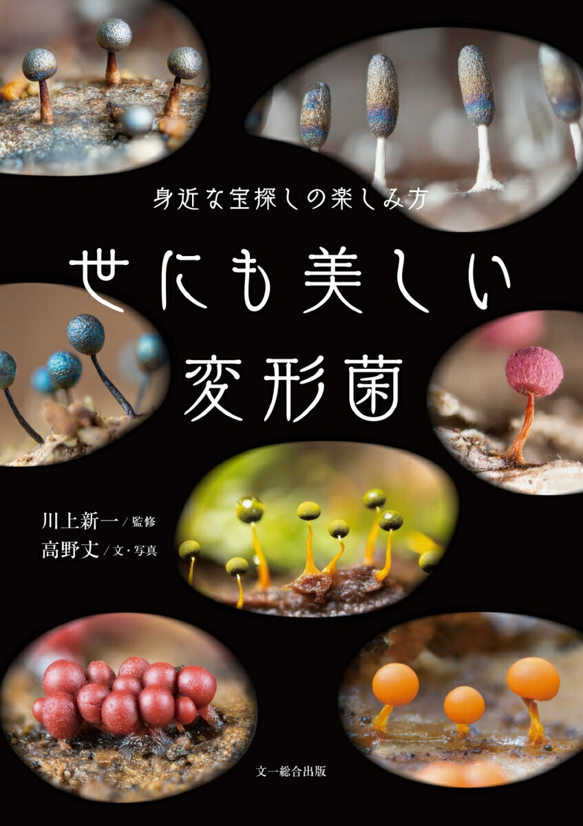 ˤѷݿȶõγڤ[忷]