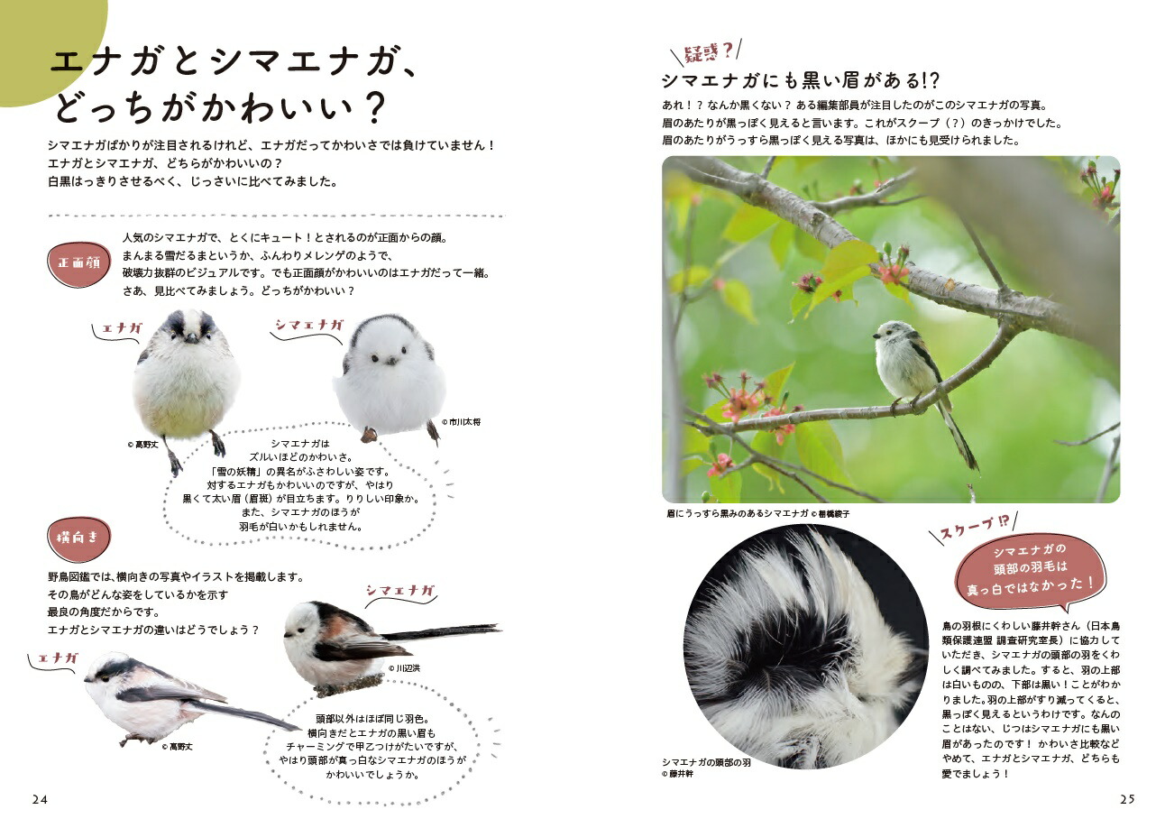 とことんエナガ、シマエナガ [ BIRDER編集部 ]