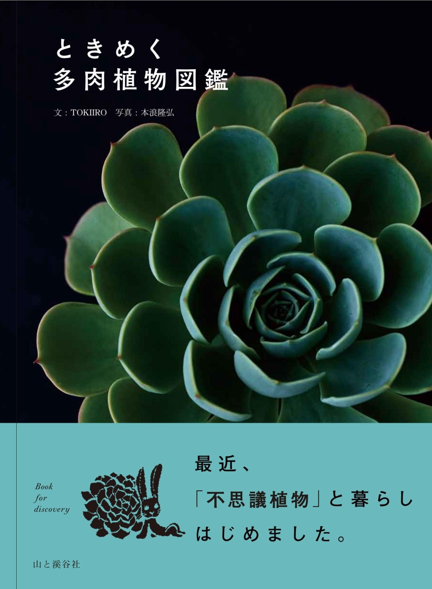 楽天ブックス ときめく多肉植物図鑑 Tokiiro 本