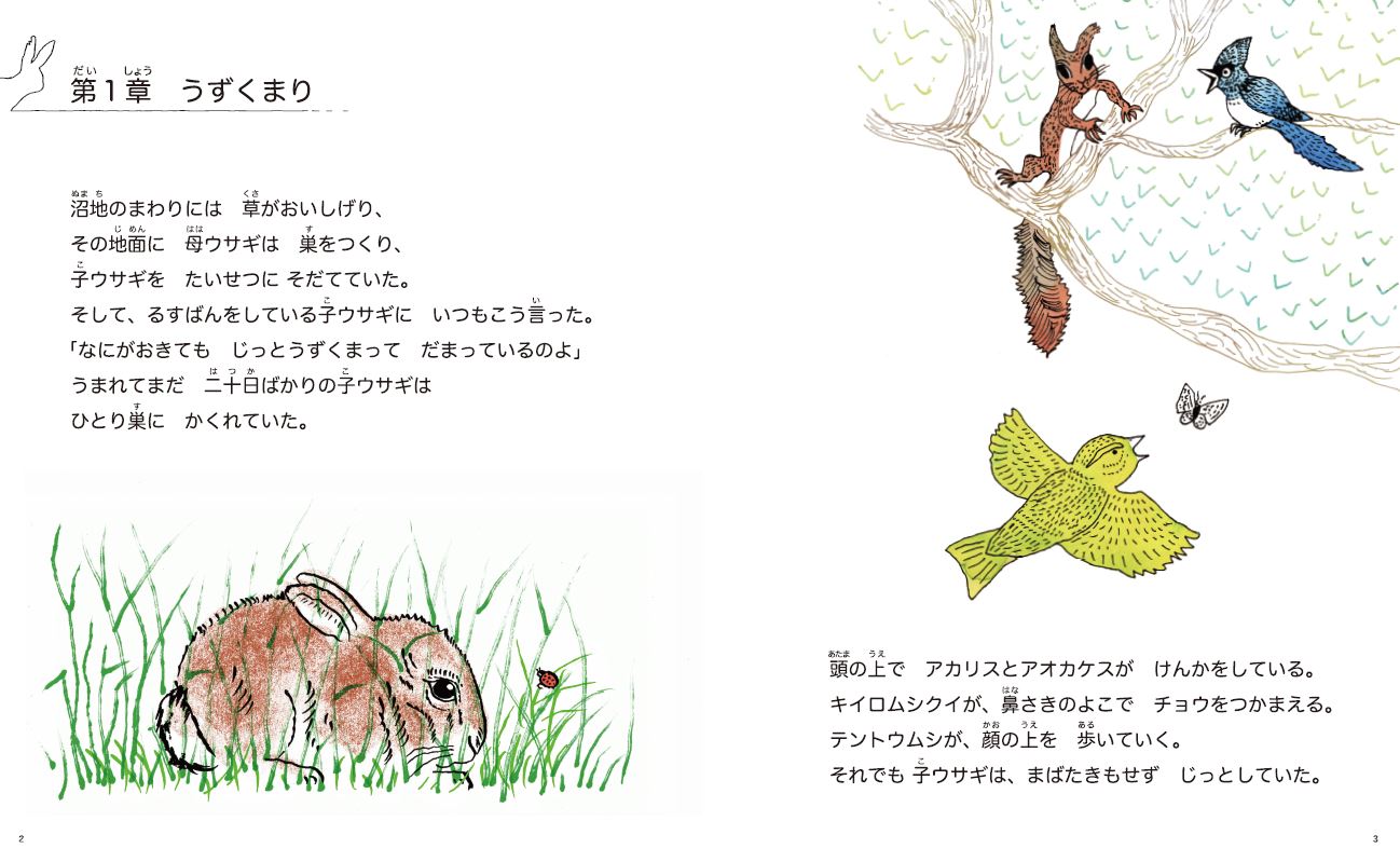 楽天ブックス ギザ耳ラグ あべ弘士 本