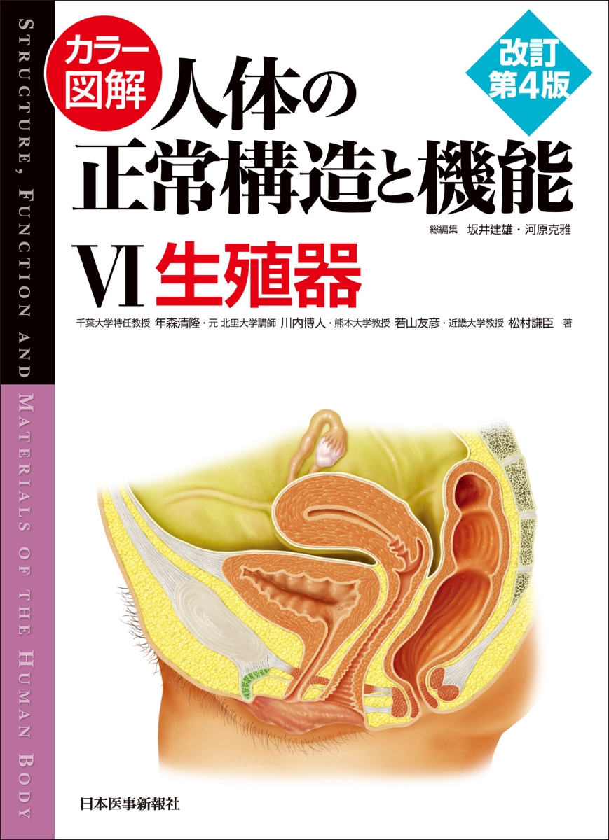 楽天ブックス: カラー図解 人体の正常構造と機能〈6〉生殖器 - 年森