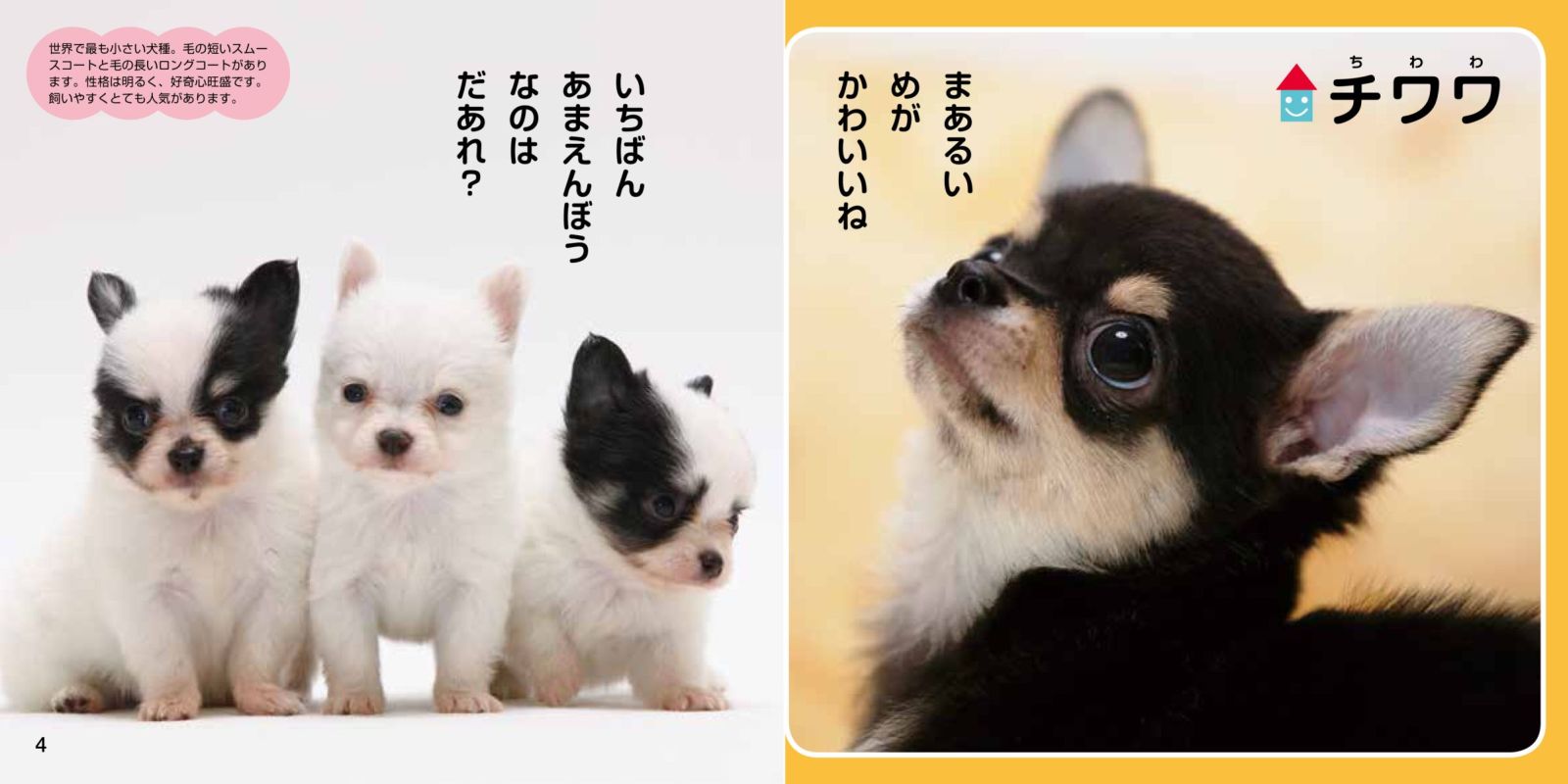 楽天ブックス かわいいこいぬ 福田豊文 本