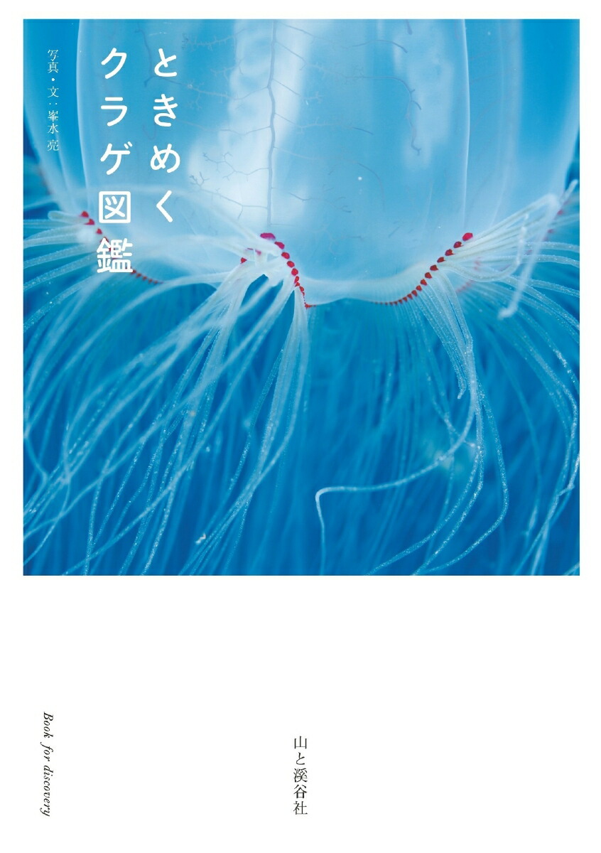 Ȥ᤯饲޴[μ]