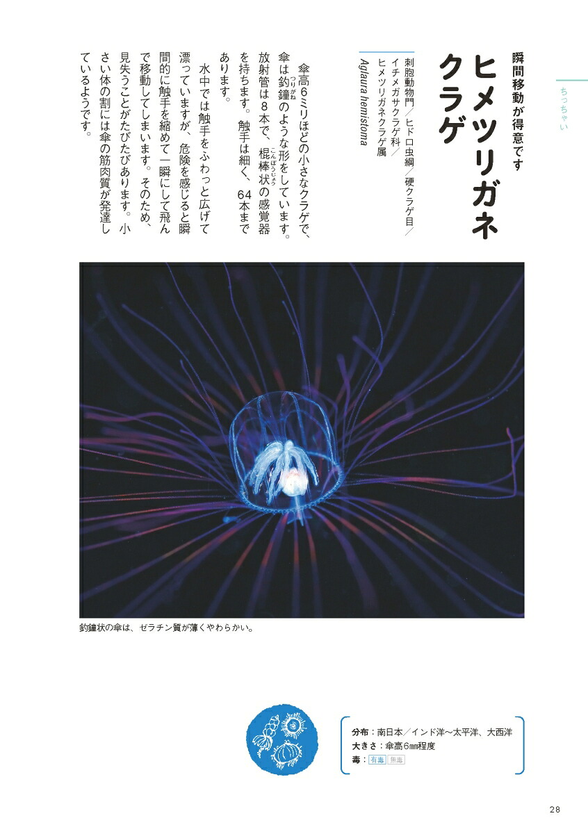 ときめくクラゲ図鑑[峯水亮]
