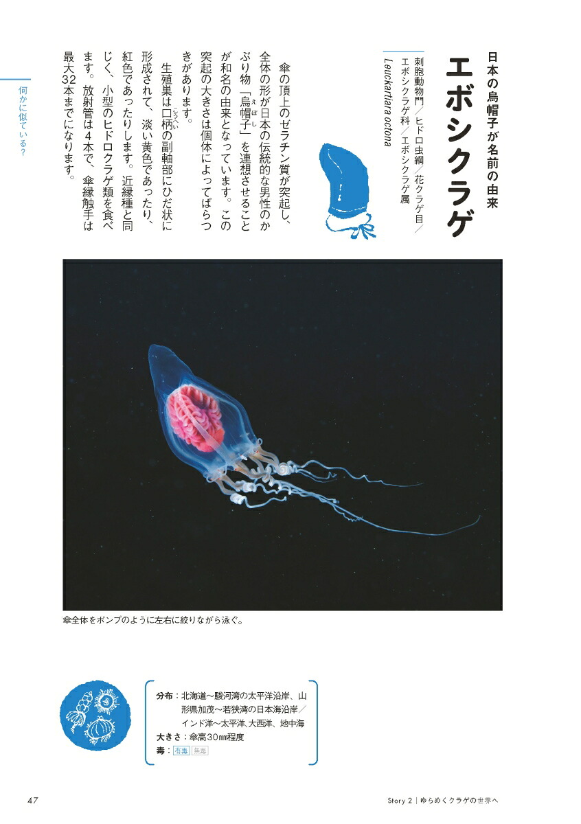 ときめくクラゲ図鑑[峯水亮]