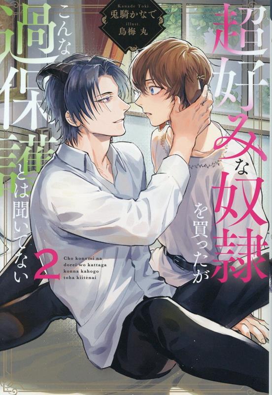 超好みな奴隷を買ったがこんな過保護とは聞いてない（2）（アンダルシュノベルズ）[兎騎かなで]