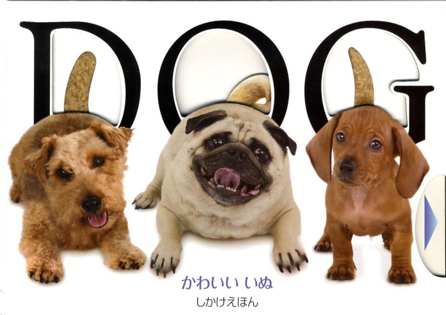 Dog襤̡ʤۤ[ޥ塼󡦥ե꡼]