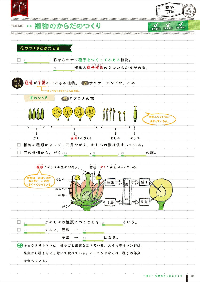 楽天ブックス 中1 5教科 改訂版 中学1年生の5教科をまとめて整理するルーズリーフ 学研プラス 本