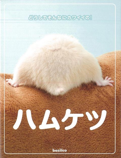 楽天ブックス バーゲン本 ハムケツーどうしてそんなにカワイイの Manic 本