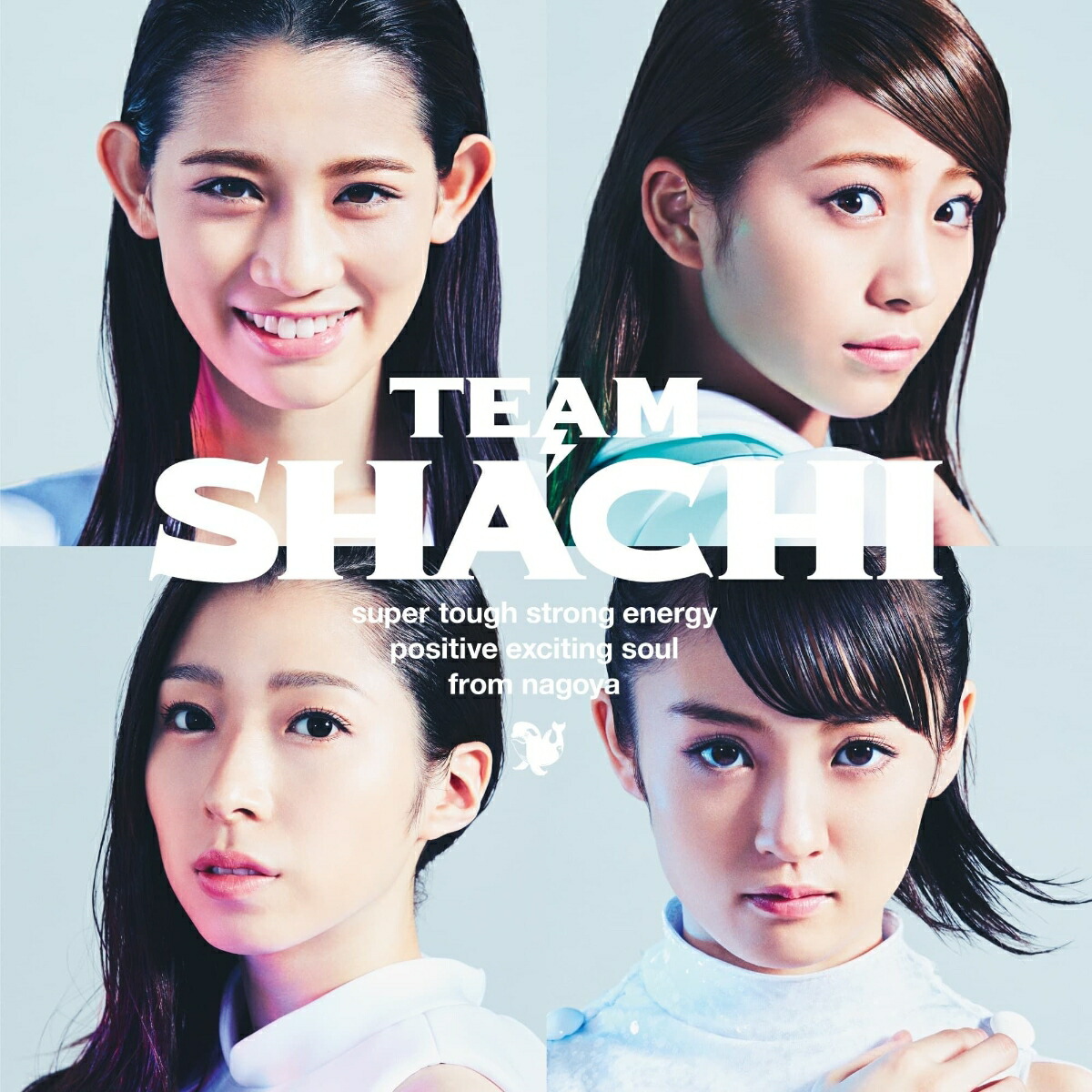 TEAMSHACHI(通常盤A)【strongenergy盤】[TEAMSHACHI]
