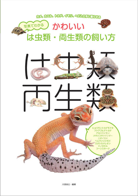 楽天ブックス 写真でわかるかわいいは虫類 両生類の飼い方 カメ カエル トカゲ イモリ ヘビと上手に暮らせる 川添宣広 本