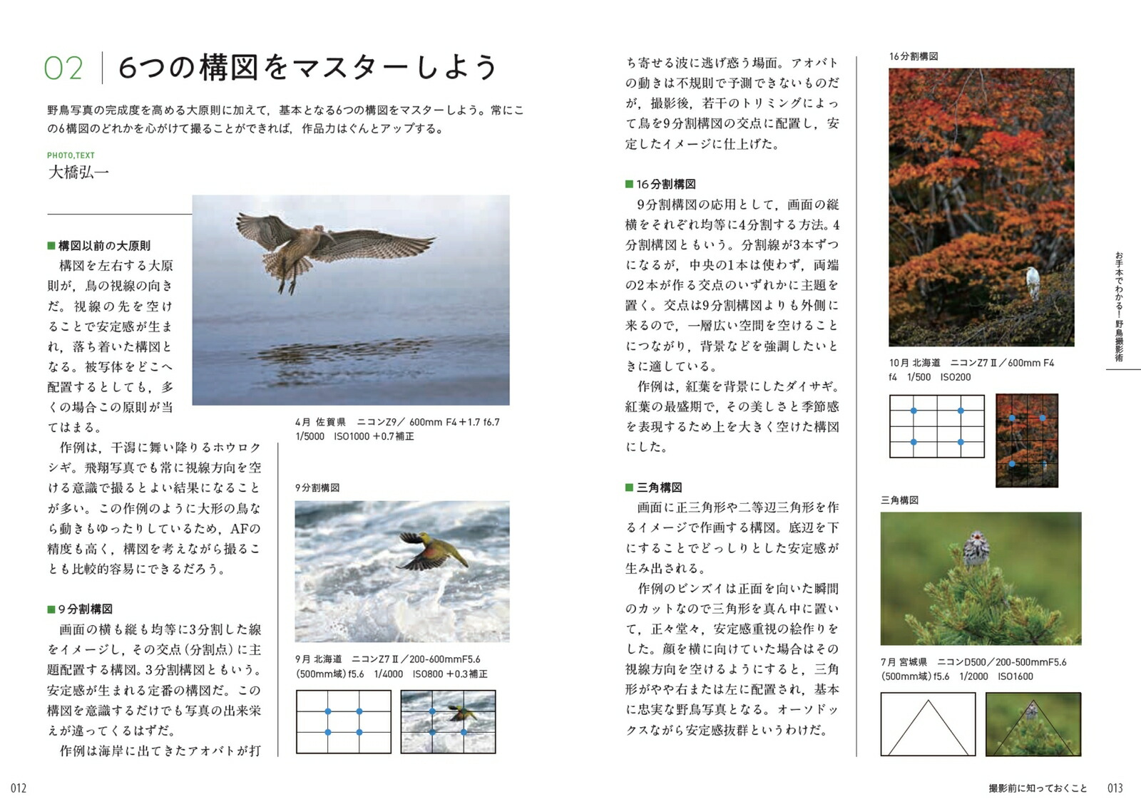 お手本でわかる！野鳥撮影術[BIRDER編集部]
